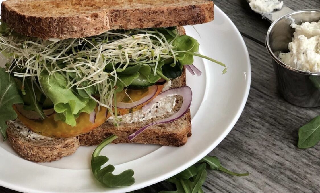 Veggie Sandwich with Lemon Herb Goat Cheesecake