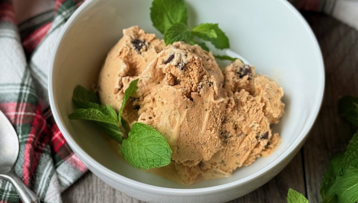 MINT CHOCOLATE ICE CREAM