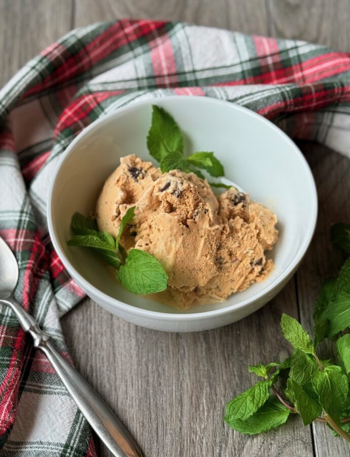 MINT CHOCOLATE ICE CREAM